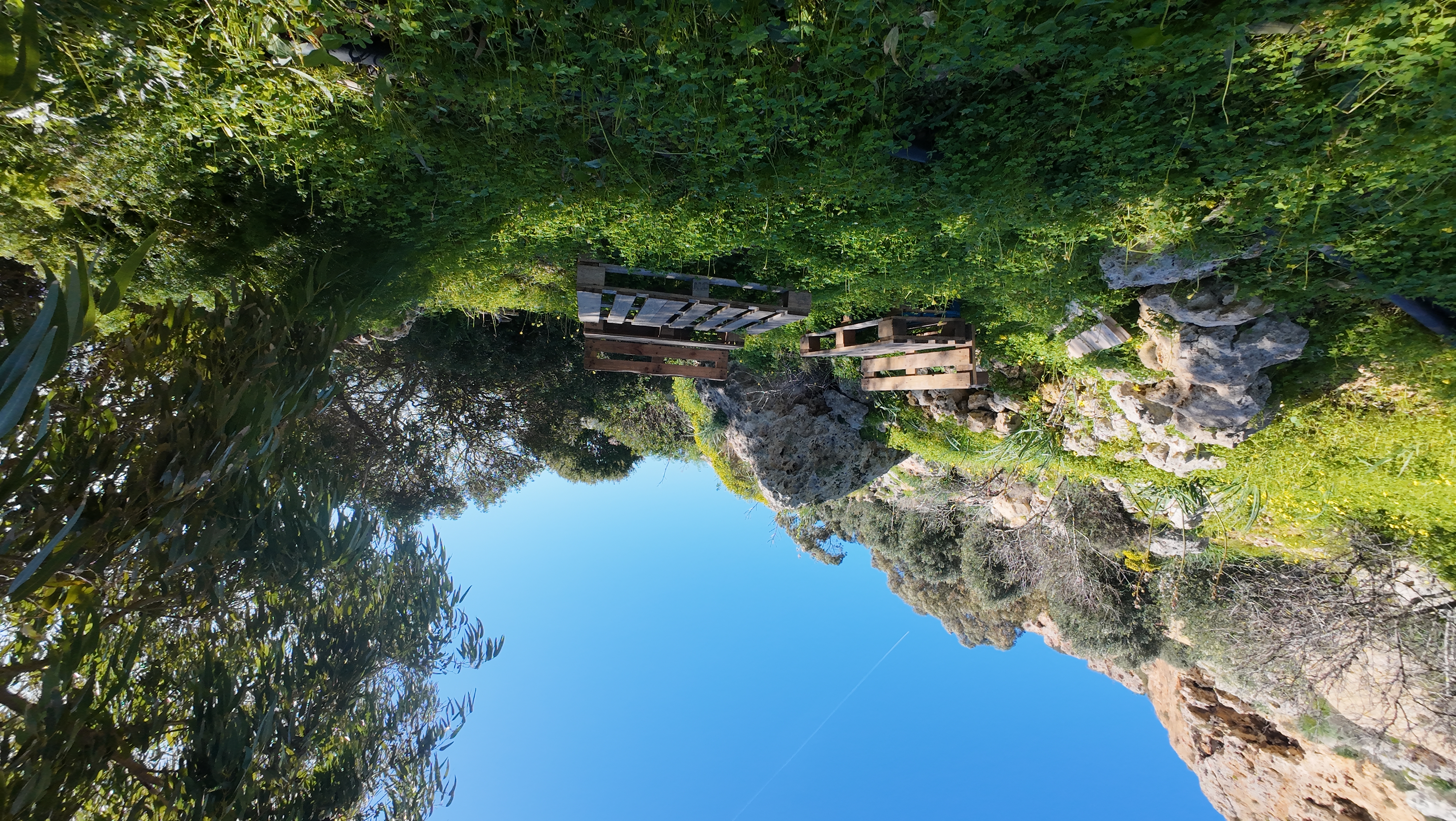 DJI_20260202134011_0141_D.JPG