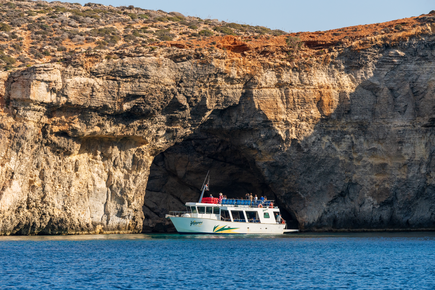 AAAAAYippee island SC01522 cominology-stills-1.png