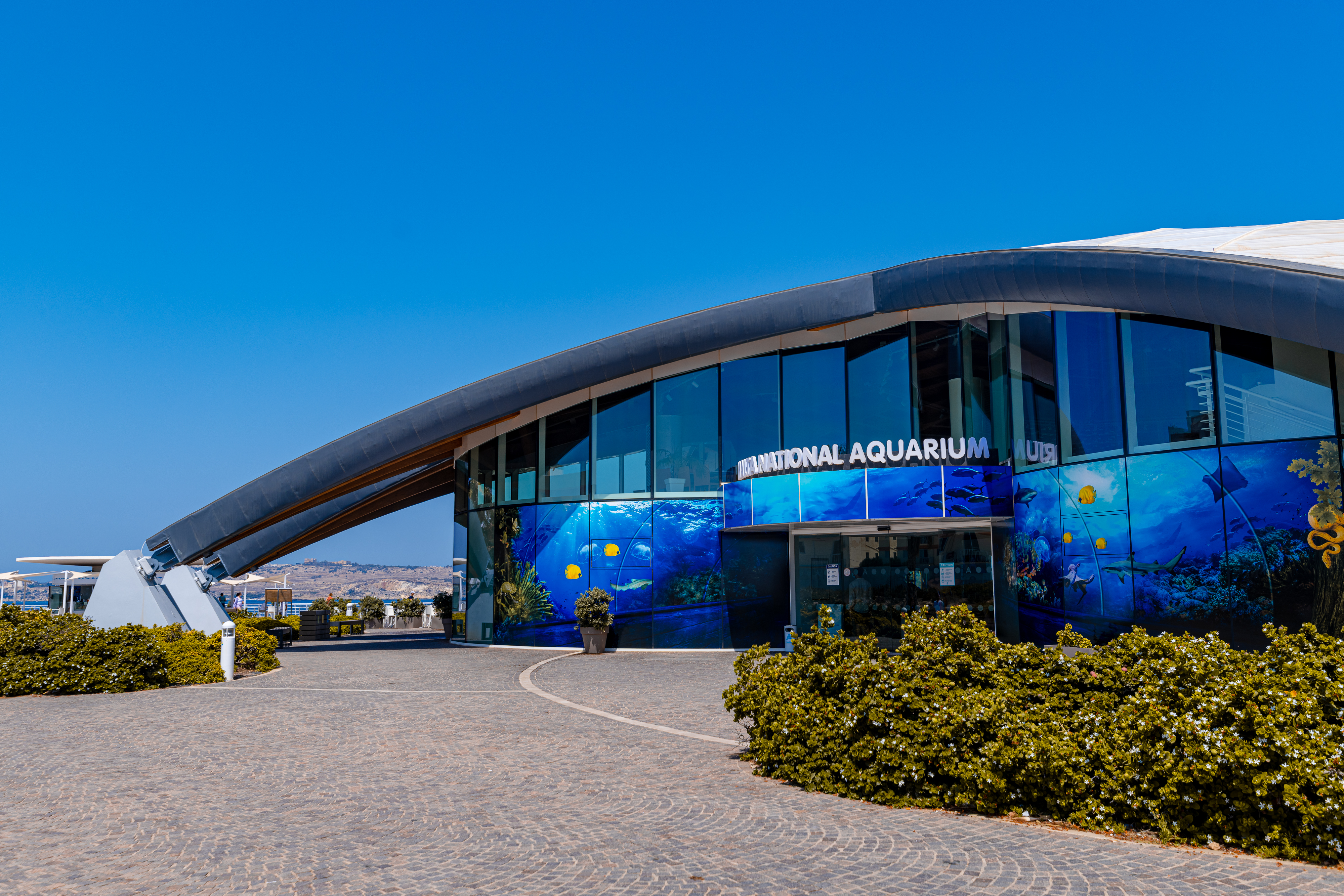 CDM & Aquarium July 2021 (1105).jpg
