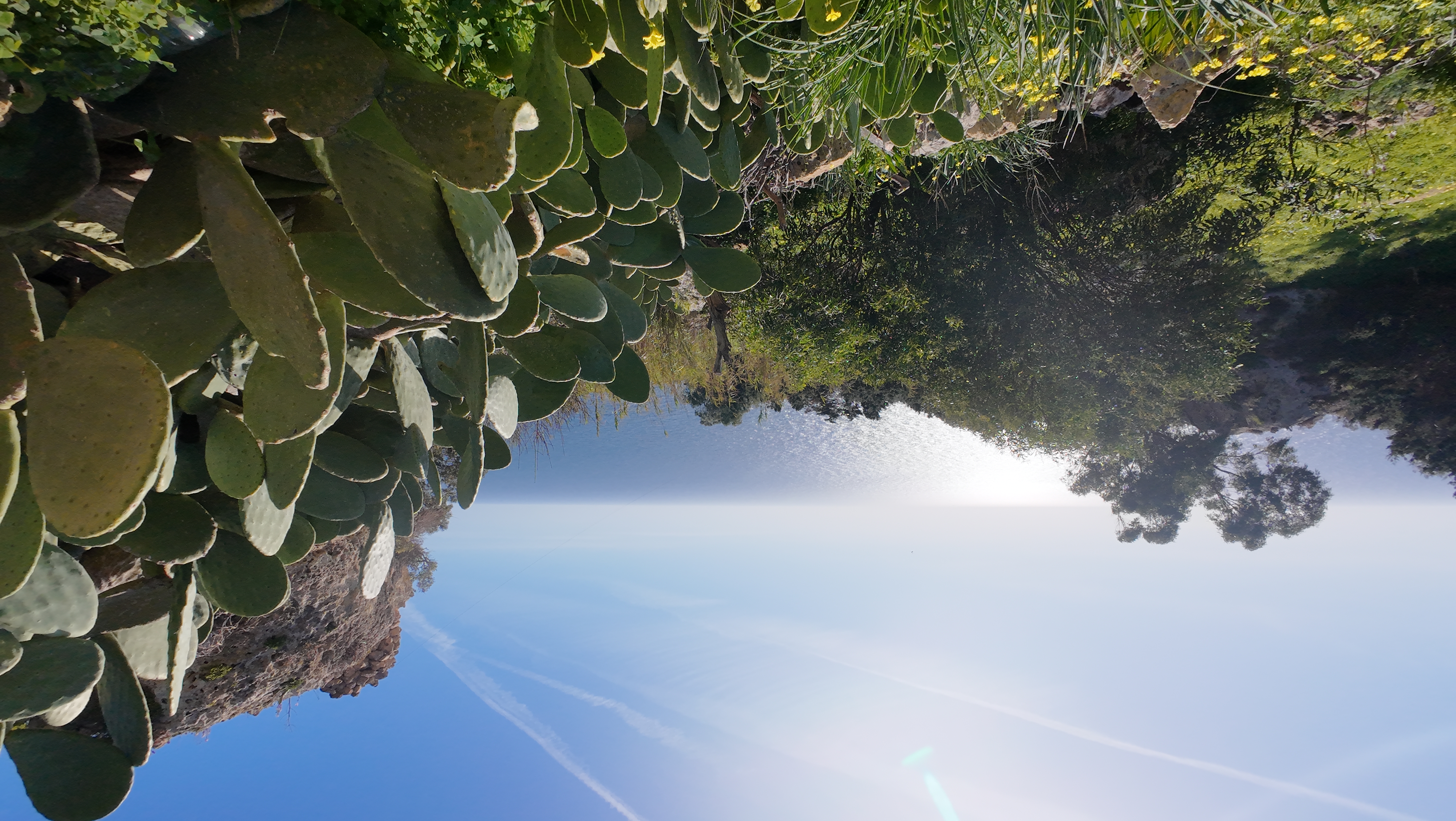 DJI_20260202134406_0151_D.JPG
