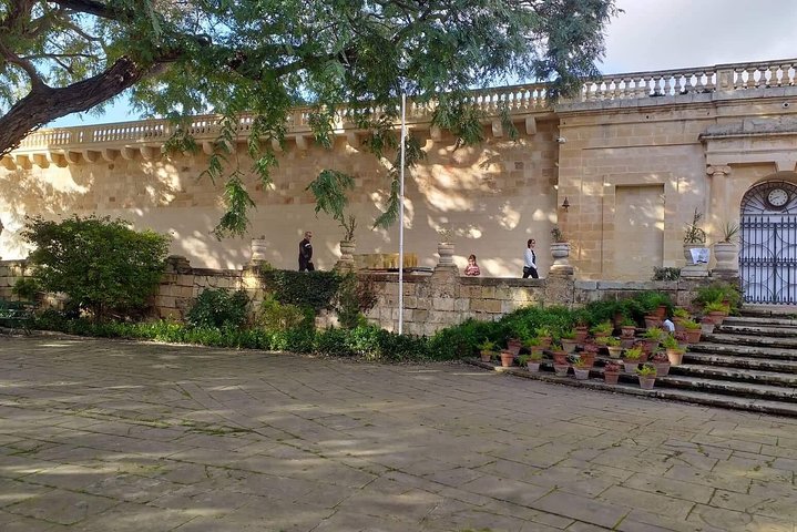 6f.jpg