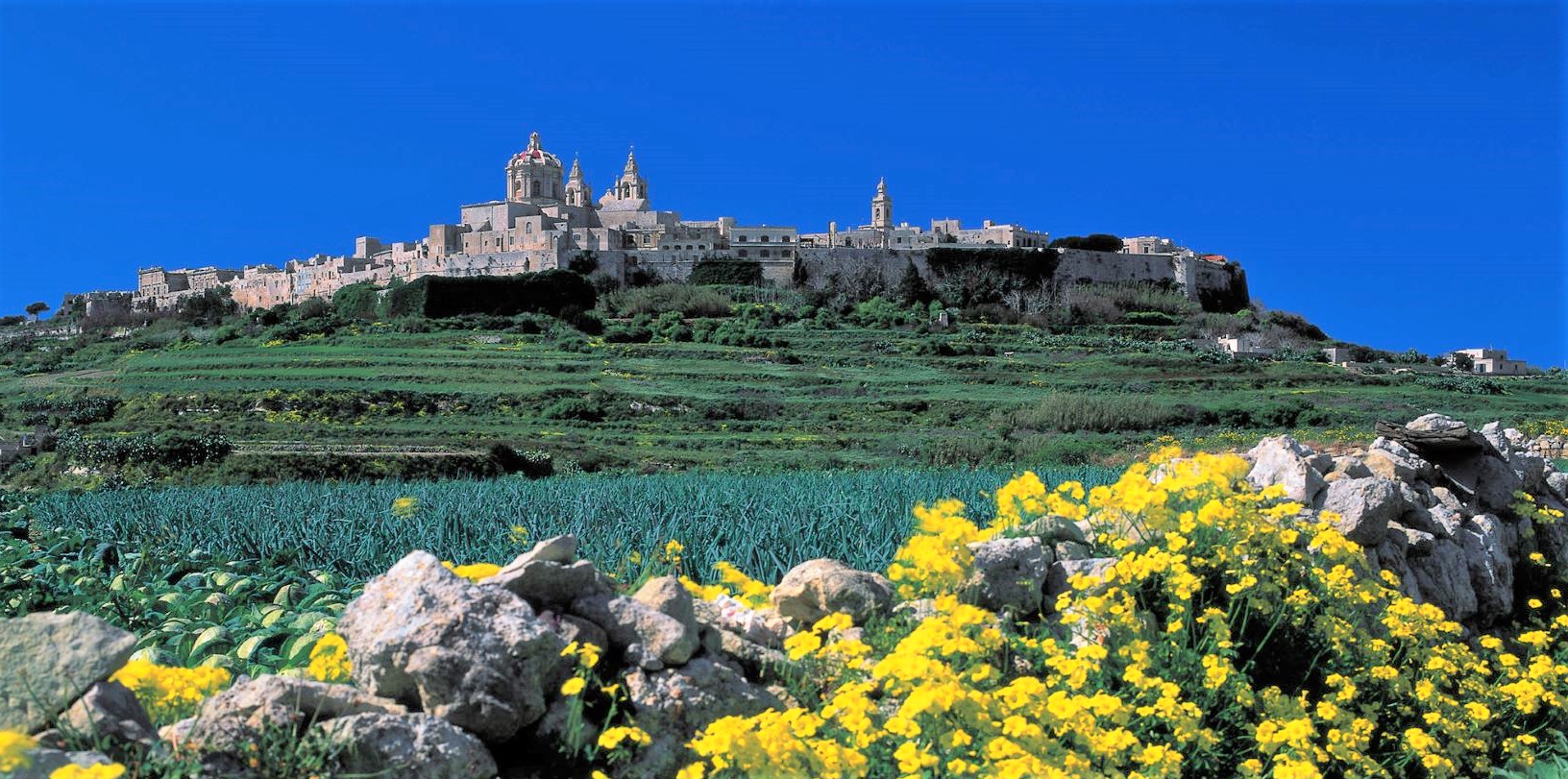 1 Mdina_View_11.jpg