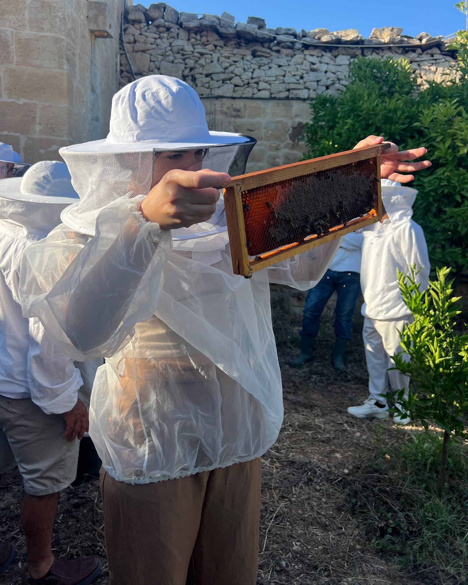 apivita-beekeeping-course-2.jpg